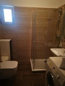 a bathroom with a shower and a toilet and a sink at City Appartements Köthen in Köthen +19 photos