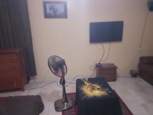 TV a/nebo společenská místnost v ubytování Noflay