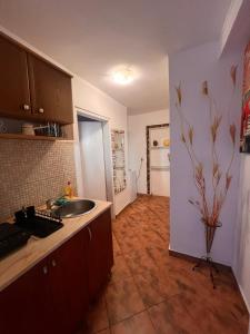 Foto dalla galleria di Vila Verica M a Sutomore