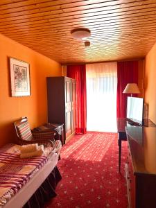 蒂蒂湖-新城诺伊施塔特霍夫酒店的相册照片