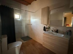 une salle de bain avec toilettes, lavabo et miroir dans l'établissement Casa Rural El Jardín De Sara, à Albudeite
