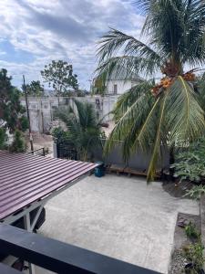 eine Terrasse mit einer Palme und einem Gebäude in der Unterkunft Tongkonan Homestay Labuan Bajo in Komodo Labuan Bajo Airport