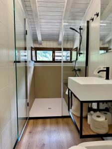 a bathroom with a sink and a glass shower at Il nido Carona in Carona