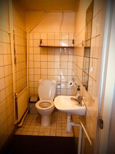 a small bathroom with a toilet and a sink at Huisje San Francisco op Terschelling in West-Terschelling
