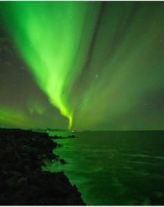Naturlandskap nära hotellet