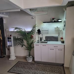 a kitchen with a sink and a potted plant at Beach Inn TLV Center in Tel Aviv
