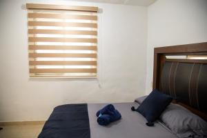a blue stuffed animal laying on a bed in a bedroom at La casa de Yaya in Puerto Escondido +31 photos