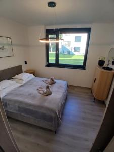een slaapkamer met een bed en een groot raam bij Fenyvesliget Apartmanok IV in Balatonfenyves +6 foto's