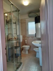 a bathroom with a shower and a toilet and a sink at The garden holiday apartment in Borso del Grappa