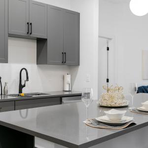 Dapur atau dapur kecil di Walk to Regions Field n Railroad Park 2BR