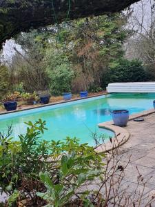 a swimming pool with blue pots around it at LES CLEFS DU PARADIS avec SPA in Montferrand-le-Château