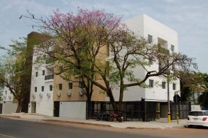 a white building with a tree in front of it at Apartamento in San Lorenzo