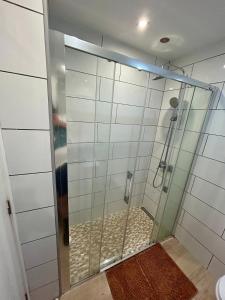 a shower with a glass door in a bathroom at Apartamento tranquilo con vistas in Los Realejos +5 photos