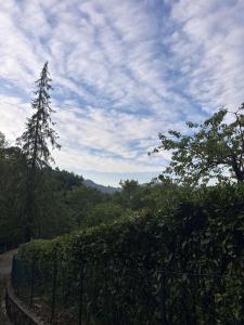 ein Zaun mit einem Baum und ein Himmel mit Wolken in der Unterkunft Appennino nord in Alfero + 4 Fotos
