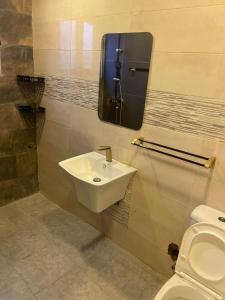 a bathroom with a sink and a toilet at W&J Luxury Home Plaza in Trofwi