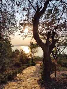 un árbol al lado de un camino de tierra en Muhazi Dolce Vita Ecolodge,  9 fotos más