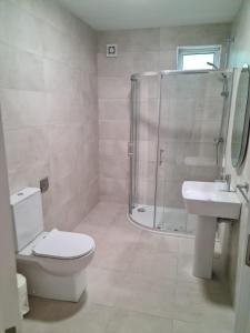 a bathroom with a shower and a toilet and a sink at Modern 2 bedroom Apartment with River views in Behy Bridge +14 photos