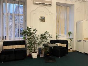 a room with two chairs and a table with plants at Центрум Апартаментс in Lviv