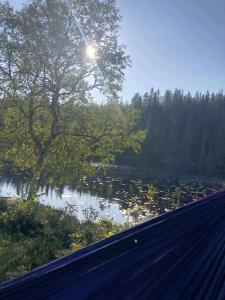 a view of a river with trees and a road at Cozy lakeside cabin in Trøndelag 