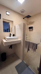 a bathroom with a sink and a shower at Casa Belmur in Mazatlán