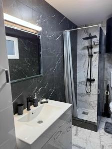 a bathroom with a sink and a shower at Apartment Zorica in Novi Sad +24 photos