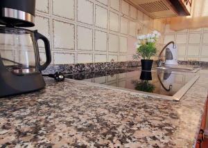 Η κουζίνα ή μικρή κουζίνα στο 2 Bedrooms Ap Yumbo Center