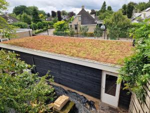 a house with a green roof on top of it at Hofstay Twente in Goor +18 photos