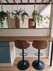 two chairs in front of a desk with plants at Hofstay Twente in Goor