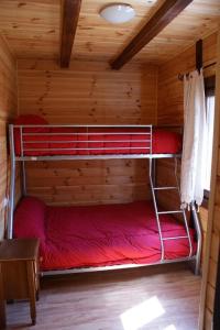 a room with two bunk beds in a cabin at Lincetur Cabañeros - Centro de Turismo Rural in Navas de Estena