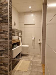 a bathroom with a white toilet and a sink at Hofstay Twente in Goor