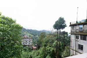 大吉岭Sierra Inn的有树木和建筑物的城市景观 更多36张照片