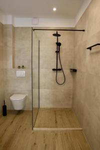 un baño con ducha y WC en Villa Olynthia, en Rogač