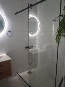 Koupelna v ubytování Milanović apartman