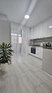 una cucina con mobili bianchi e una pianta in vaso di Apartament Alb&Negru a Sebeş