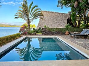 a swimming pool with a palm tree and the water at Isleta El Espino Ecolodge in Isletas de Granada