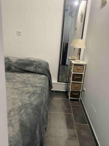 a bedroom with a bed and a dresser and a mirror at Appartement au bord de l'eau in Le Grau-du-Roi