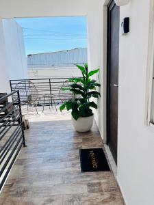 Gallery image of Departamentos Villa 112 in Mazatlán