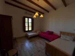 a living room with two beds and a window at Casa-Quinta Citrino - Viña, Buenos Aires in Viña +22 photos