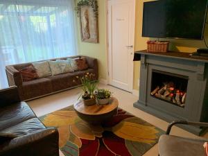 a living room with a couch and a fireplace at Cozy villa with wellness tub, sauna and garden in Den Ham