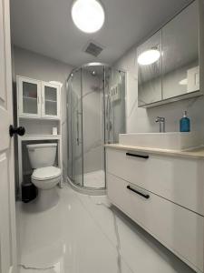 un bagno con doccia, WC e lavandino di New Renovated Studio Queen Bed Sofa Bed a Montréal