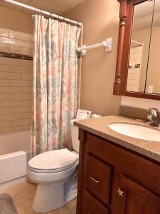 un baño con inodoro y lavabo en The Seahorse, a 2bed beach paradise in Fernandina Beach, swimming pool!, en Fernandina Beach 27 fotos más