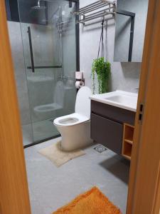 a bathroom with a toilet and a shower and a sink at Johari One Bedroom 11th Floor Apartment-Lavington in Nairobi