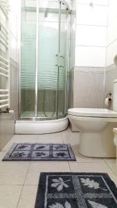 a bathroom with a shower and a toilet and rugs at Suna Apart Hotel in Gokceada Town +78 photos