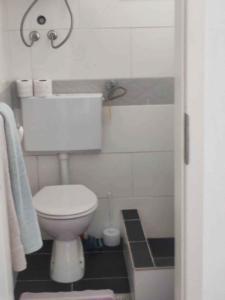 a white bathroom with a toilet and a shower at Apartments with parking space Trpanj, Peljesac - 15976 in Trpanj