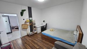 プリシュティナにあるMinihouse Modern Private Centralの部屋にベッドとソファがある寝室