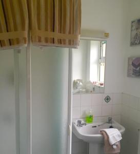 bagno con lavandino e specchio di Tara Lodge Galway a Galway
