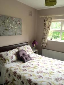 a stuffed animal on a bed in a bedroom at Tara Lodge Galway in Galway