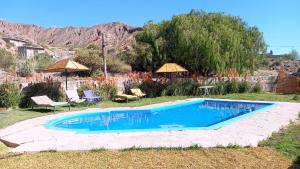 a swimming pool in a yard with chairs and umbrellas at canto del viento in Tilcara