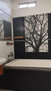 a bathroom with a bath tub with a tree on the window at Hotel Santiago Plaza Acandí in Acanti