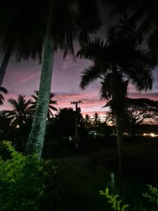 a sunset between two palm trees in a park at Navo Apartment Homes in Nadi